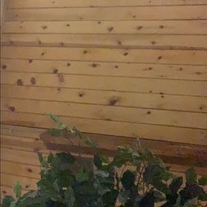 Meet your Posher, Carter